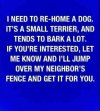 dog.JPG