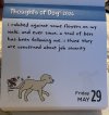IMG_6803.jpeg