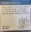 IMG_6816.jpeg