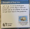 IMG_6820.jpeg
