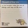 IMG_6866.jpeg