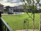 IMG_2559.jpeg