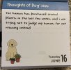IMG_6882.jpeg