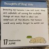 IMG_6883.jpeg