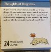 IMG_6896.jpeg
