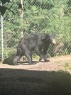 IMG_9539.jpeg