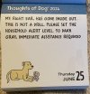 IMG_6897.jpeg