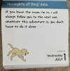 IMG_6927.jpeg