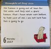 IMG_6943.jpeg