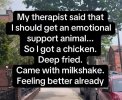 Emotional Support Animal.jpg