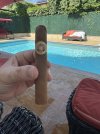 IMG_6579.jpeg