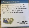 IMG_6948.jpeg