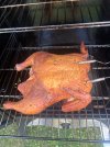 IMG_0628.jpeg