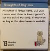 IMG_6967.jpeg