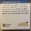 IMG_6968.jpeg