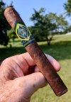 CAO Brazilia.jpeg