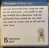 IMG_6969.jpeg