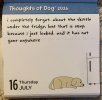 IMG_6970.jpeg