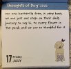 IMG_6971.jpeg