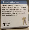 IMG_6987.jpeg
