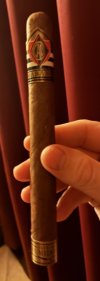 IMG_1147.jpeg