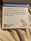 IMG_7016.jpeg