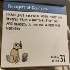 IMG_7018.jpeg