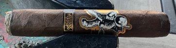 IMG_2913.jpeg