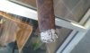 20160312_174656.jpg