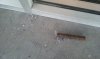 20160312_175526.jpg