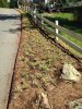 driveway 2.jpg