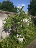 IMG_20160704_175941.jpg
