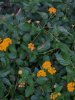 IMG_20160712_203700.jpg