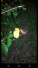 Screenshot_20160712-210343.png