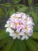 IMG_20160813_190501.jpg