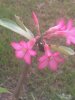 IMG_20161104_163825.jpg