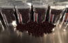 Choco Espresso Beans.png