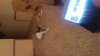 20170125_203527.jpg