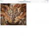 8E10BC47-39CA-46C0-8352-6106A7DF1F46.png