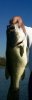 7F7C06C3-16A4-4B77-B293-051AC32BBB5A.jpeg