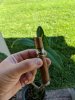 IMG_20180506_165301.jpg