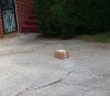 box in drivewaysm.jpg