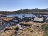 5 Star lake.jpg