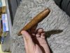 IMG_20200813_205753.jpg
