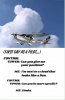 FB_IMG_1601656096292.jpg