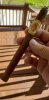 Screenshot_20201220-135651_Gallery.jpg