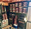 Collection.jpg