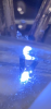 FF1E2126-AF12-4BCF-8571-94CFFF16EC1F.png