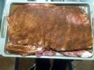 RIBS 2021.jpg