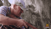 200-1.gif